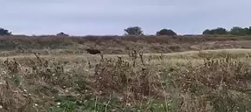 �� ������ ������� ���� �������� ��� ����