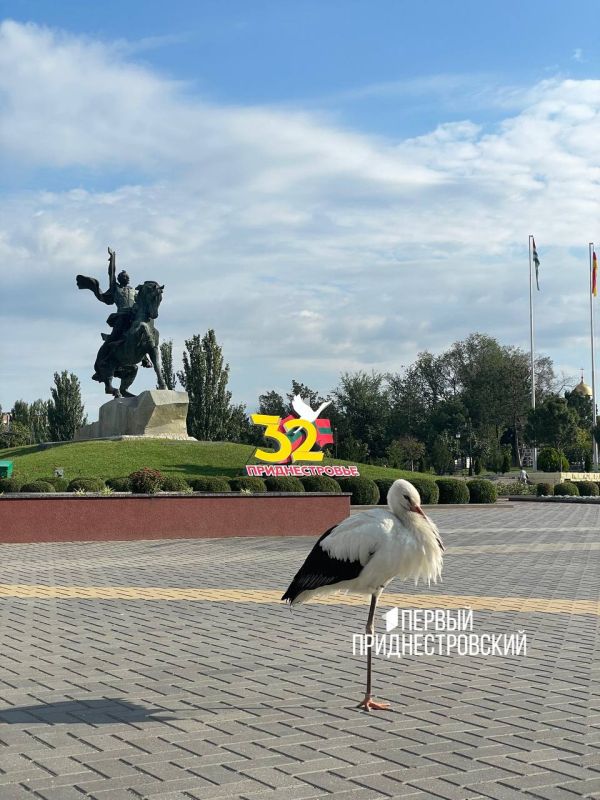 ������ ����������. ������ ���� � ������ ���������. ������, ��� ����������. �������� ������