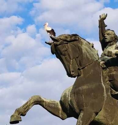 ������� ������� �� ���� �� ����