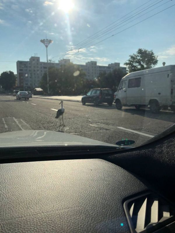 ������ ���������� ������ ���� ��������� ������, ������� ������� ��������� ��������, � ������ ���������