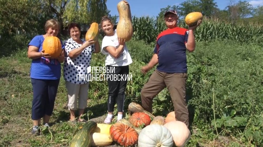 ��������� ��� ������� ������� ����� �� ������� ������ ��� ���� ���������� �����