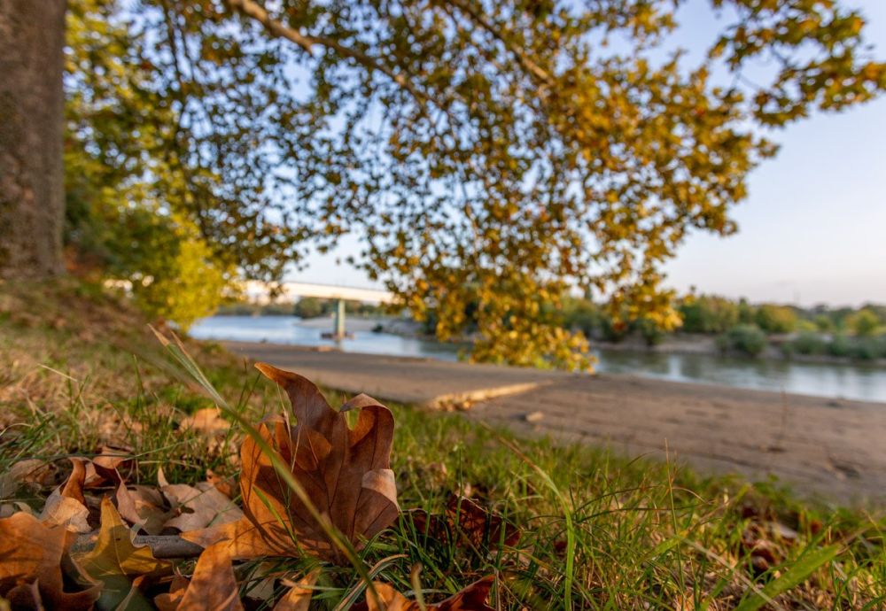 � ��������� �������� � ������������� ����� ���������