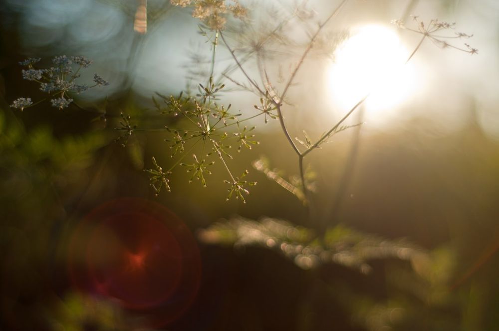 7 �������� ��������� ���������� ����������, ��� �������, �������� ��������� ����� �� ����� �� � ��