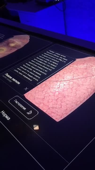 �������� 1 � 2 ����� ������� ��� ������ �� ����� ����������� ����� ��������