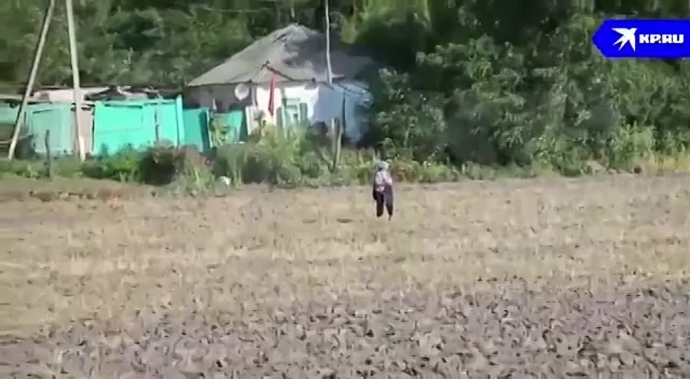 ���������� ������������, ��������� ��� ������� �� ������ �������, ������ ������ �������