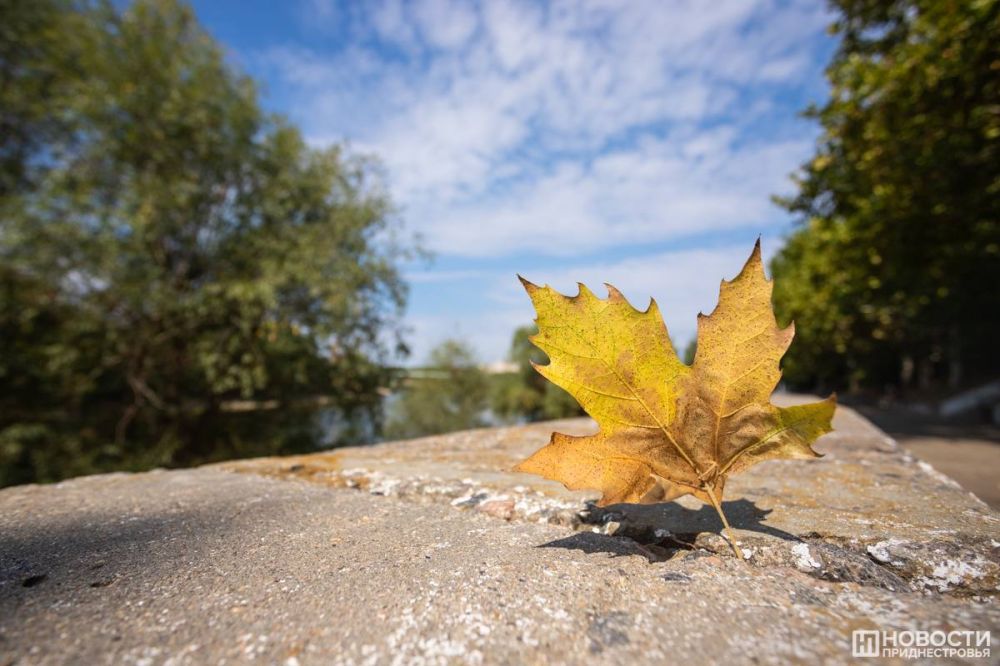 ������ ������� ����� � ���������