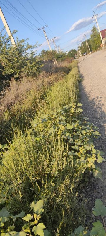 ��� ��������� ���� �� ������������