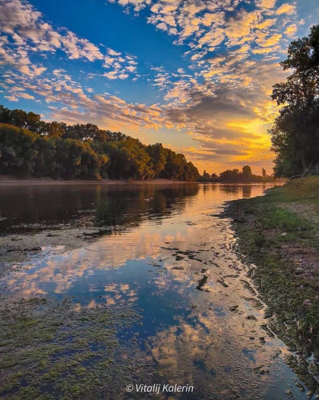 �������� ������ �� ������ ������������� ������� ��������