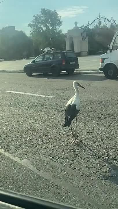 ���� ����� ����-������� ����� �����-��������� ����� �� ������ �� ������� ��������