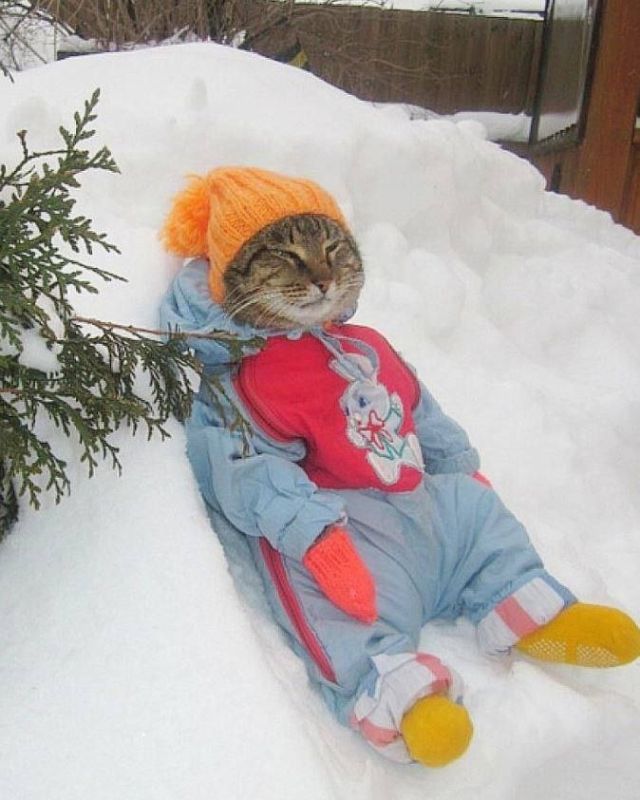 � ��������� ����� ������ � ������ �� ��� ��� ���, ��� ������� ������� ���� ���� �� ����������� ���� 19 ��������