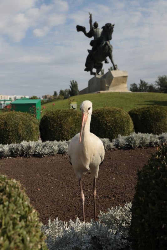 ���� � ������ - ������ � ������� �������