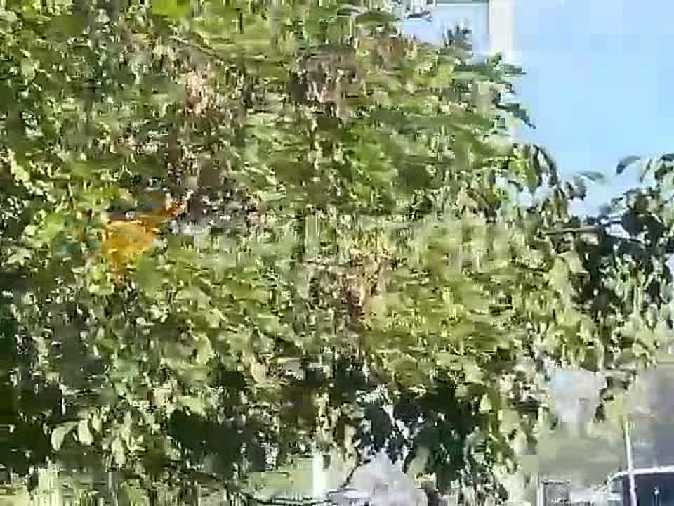 ������� ������� �������� ������ � ��������