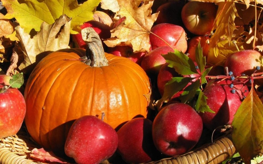 ������ ���� �����. ������ ���������� ��������� ������� ��������� ���. ��� ��������� � �������, 10 ��������, �� ���������� ����� "���������" ��� "����������������". ��������� ������� � �������� ����� � 8:00 �� 13:00