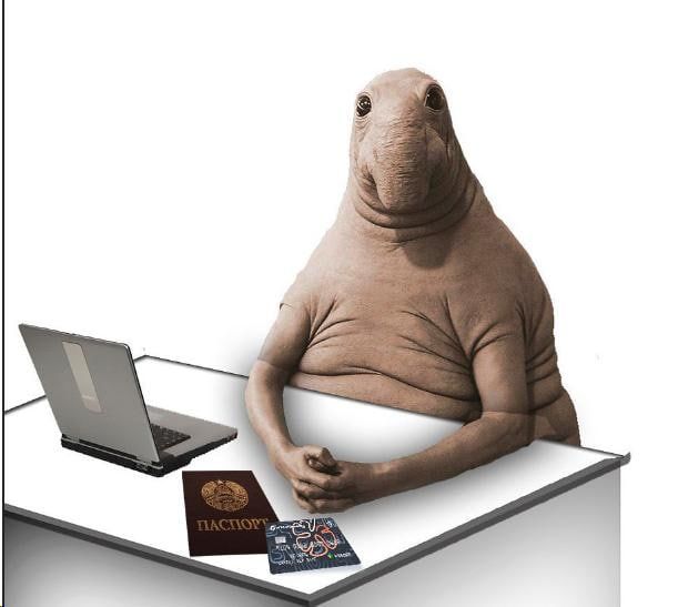 ��� � ���� ����� ��������� � ��������� � ������ ������ � ��� 14-00, ����� �������� ������ �� ���������