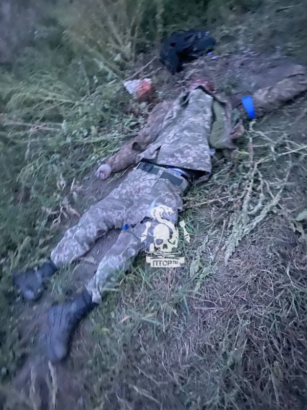 �� ��, �������� �� ����������� �����������, �������� ����� ������������