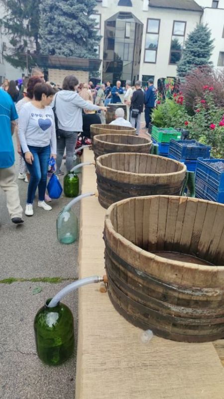 ����� �������� ������� ���������