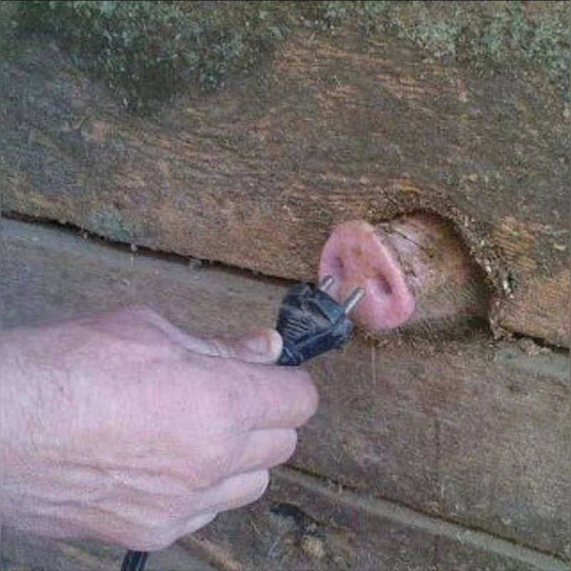 �����, �����, ������ ����