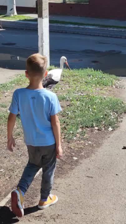 � ��������� ����� ������ ��� ��������� � ������