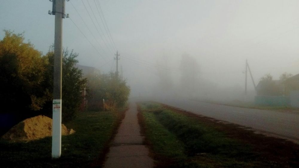 ����� 12 �������� � ������������� ������� ����� �������, �������� ��������������� �������������