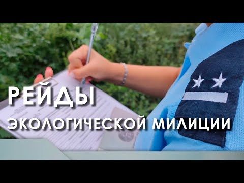 ����������-������������� ������� �������� �����. ��� ����������� ��������� ����������������: ���������� ��� �������� ������������, ������ � ������������ ���������� � ������������������� ������