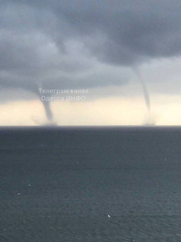 ������ ���� � ������������ ������� ����� ������