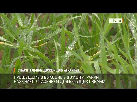 �����, ������� ������ � ��������, ������� �������� ��������� ��� ������� ������. ��� �������� ������ ����� ����, ��-�� ������ �� ���� ���� �������� �������� ����� ������ ������