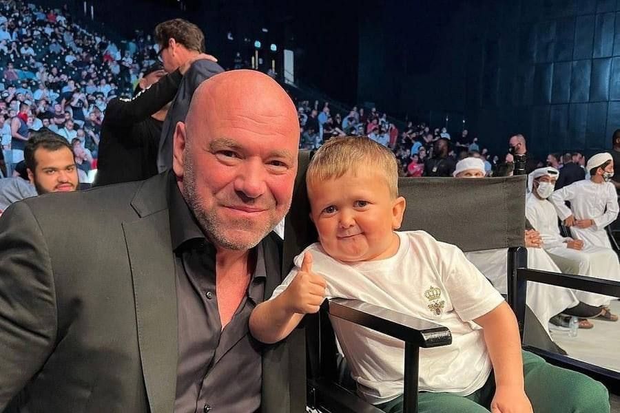 ������ ���� ������ UFC