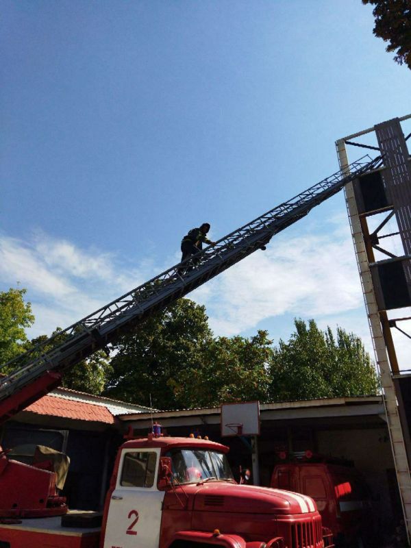 ���������� ����� �������� �������� ������