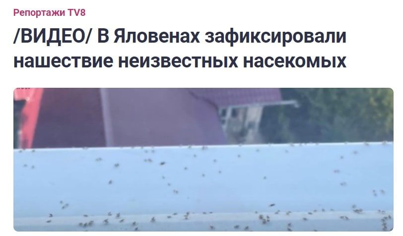 ���������� ��� ����� � ��������� ��������� ������������ �������������