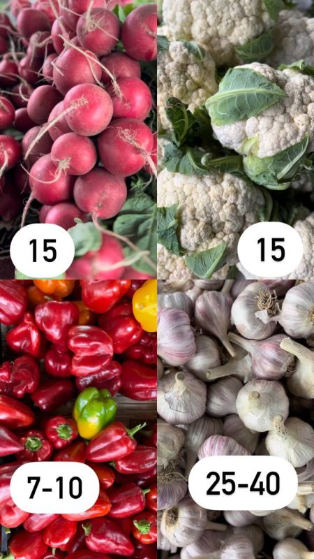 � ����� �� ��� ���������� �������� �������