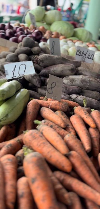 �������� ����� ������ ����� ������ �� �������