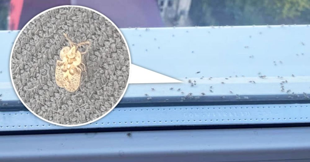 ������ ������� ��������� ��������� ���, ��� ��� ���� � ������� ����������