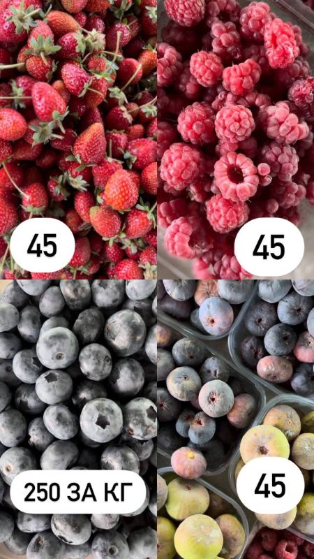 �� ������ ����� ��������� ������� �����