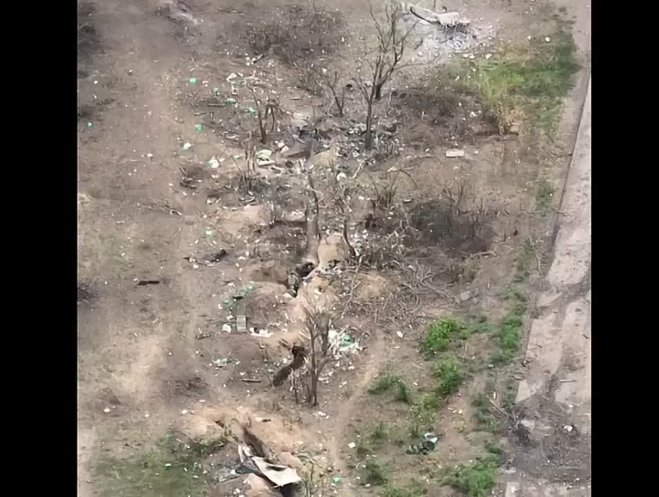 �� ���������� ����������� ���� ����� �� ���������� ��������� ���������� �������� � ����� ������� �������� ��������!