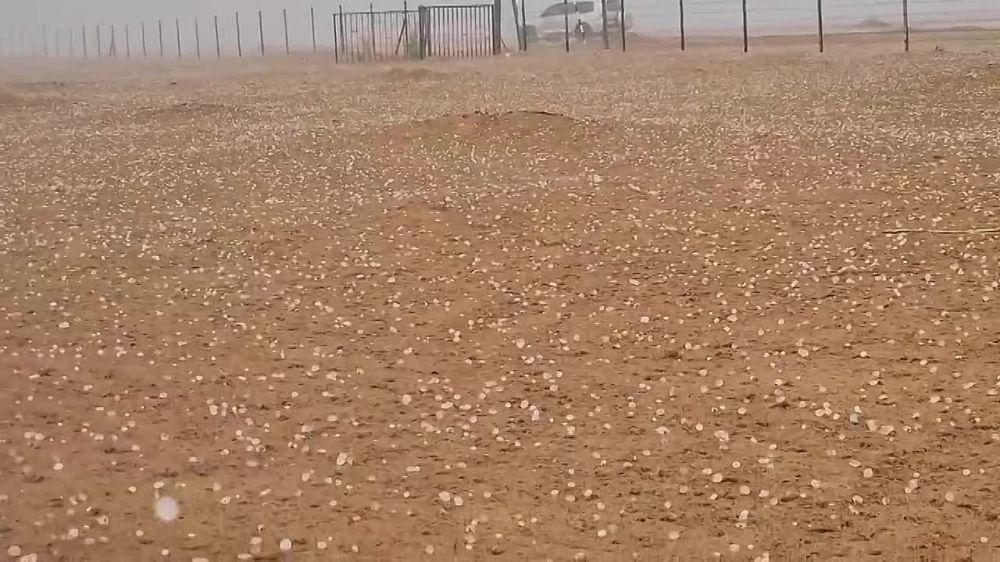 � ��������� ������� ����� ��� +46�C ����� ����