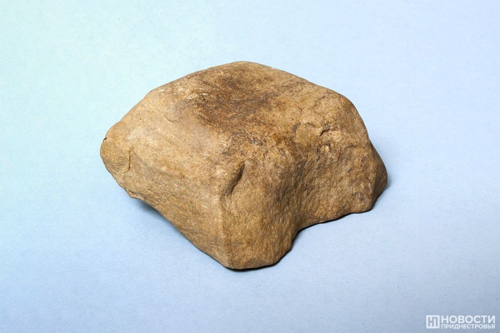 ���� �� �������� ���������� �� ������� ������� ����� ��������