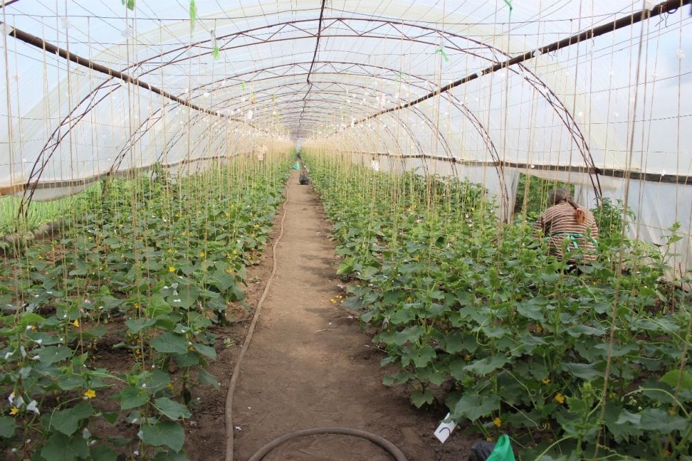 ����� � �������. ���������������� ���������� ����������������� � �� ������ջ � �� ���������������� ������������ ��� �...