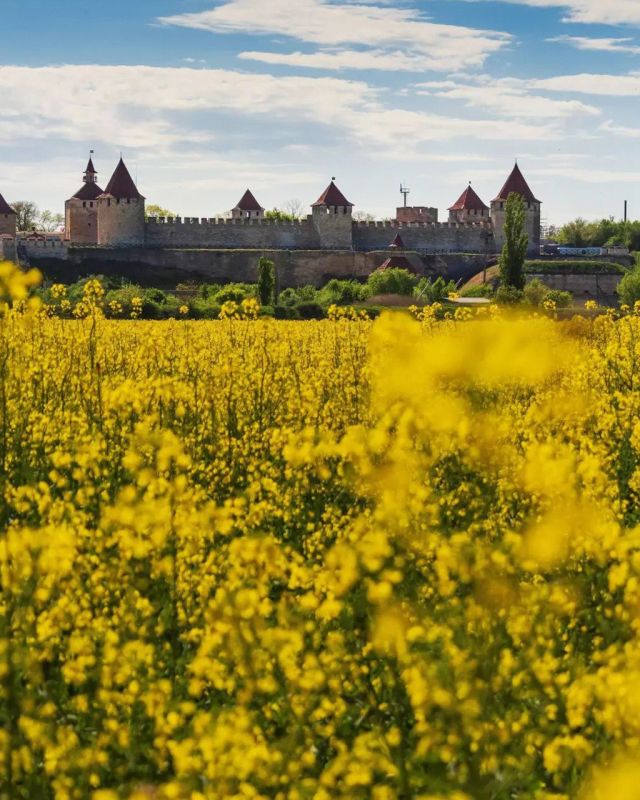 �������� �� ������� ����� ��� ������ � ������������ ������