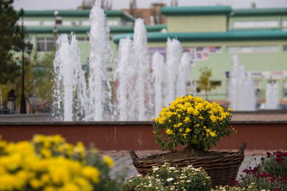 ����� ������ �����. ������������ �������� �� ������, � ��� ������, ��� ����� ��������� ���� ����� ���������� ����������� � ���������������� �������������