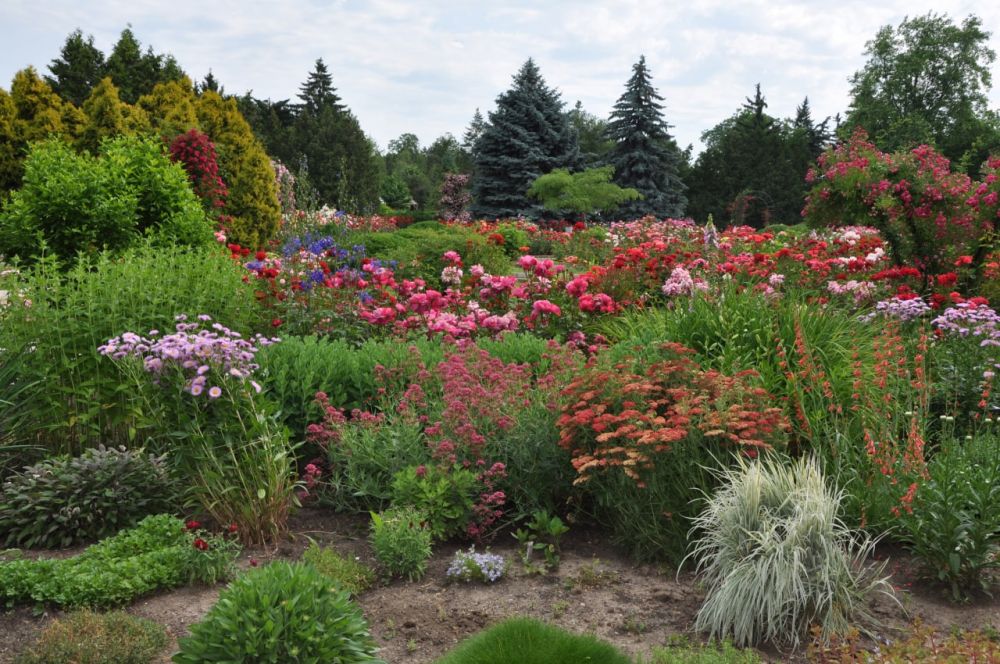 � ������ �� �������� ����������� ������������� ������� ���������