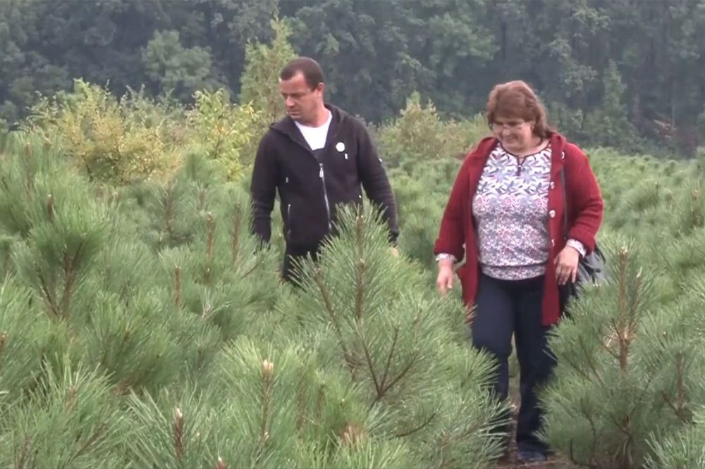 �������� ��� � ���������