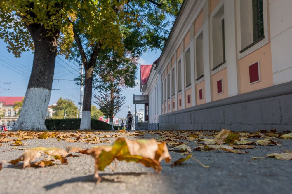 ����� ���� �������� ����������