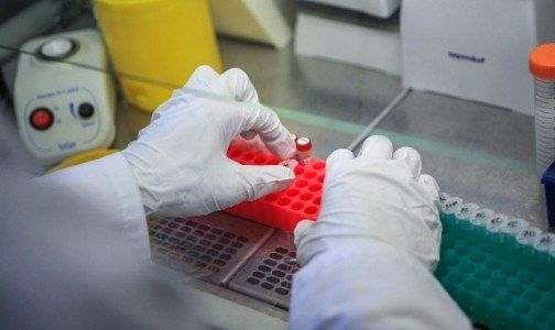 ������ ���������. �������� ������������� ��� �������� ������ ������� ������ ��������. � ������ ���� ������� �����������...