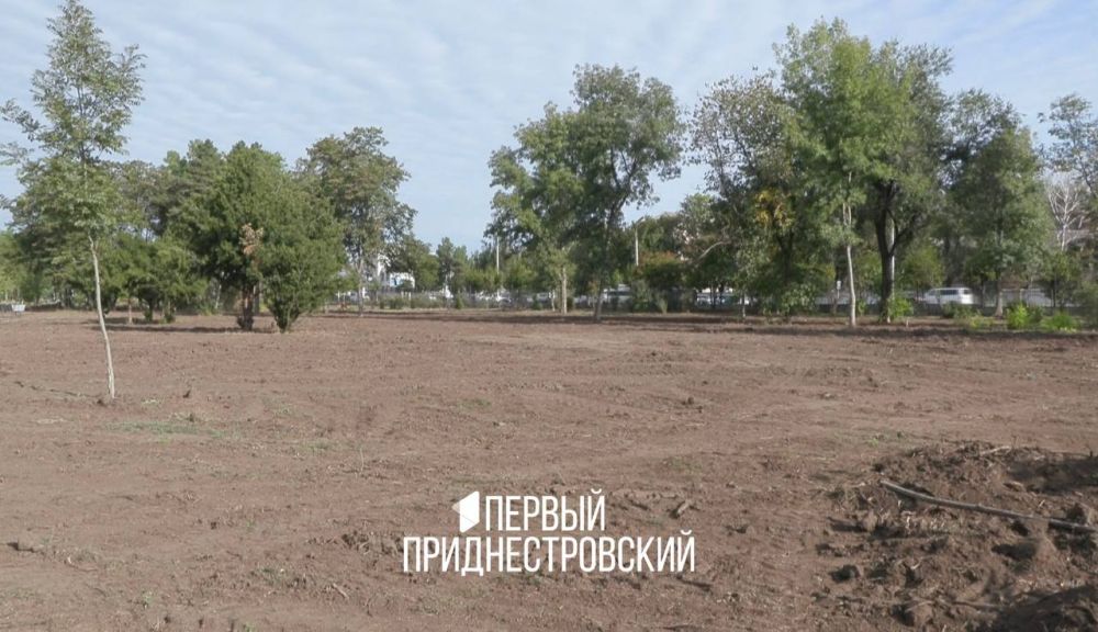 ���������� ������������� ����