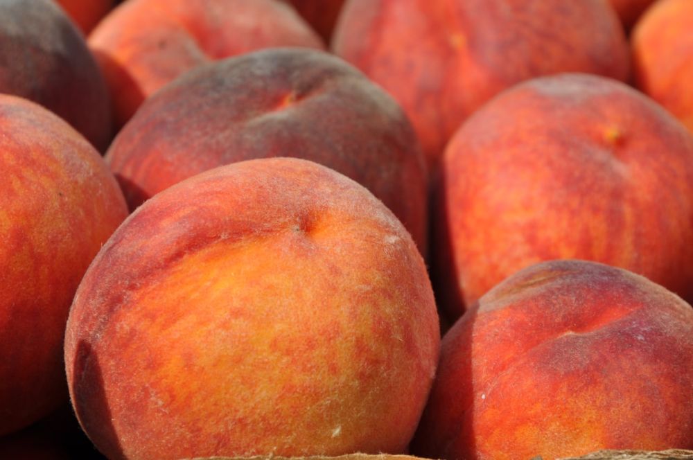 �������� ����������� ������� ������ ����� 87% �������, ������� 5 ���. ����, � ��� �����: ����� � 2,5 ���. ����, ������� � 799 ����