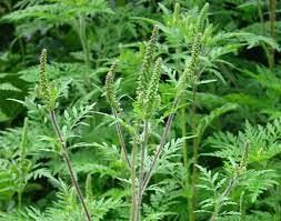 �������� �� ��������. 17 ����������� ������������ � ����� ������� ��������� �� ������ �/� ���������� � ������...