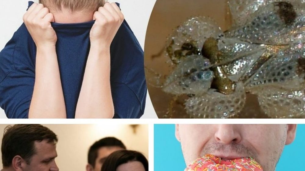 ������� ������� � ������� �� 18 �������� 2022: ����� �������� ������� ����� ����� ������� ������� ��������; ���������������� �������� � ���������� �������� - ��� ��� ������ � ������; � �������� ���������� ��� "���������" ����� �� �����