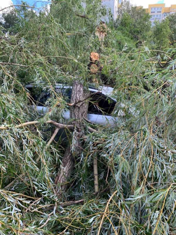 � ������� ������ ��������� � ����� ������