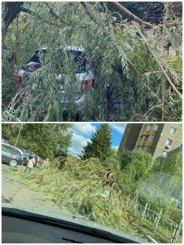 � ������� ������ ����� �� ������ �� ����� ���������