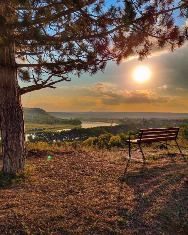 ����� ������ ����� ����������